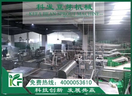 小豆芽撬动大市场，大连康福达集团责任担当