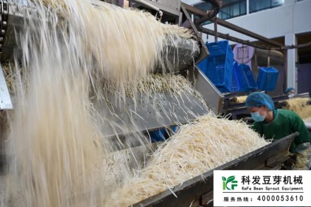 合作共赢，金豆子的豆芽生产行家