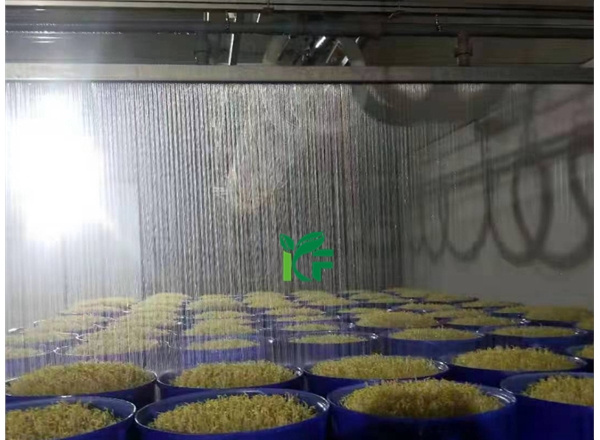 豆芽生产线淋水器（豆芽淋水线）